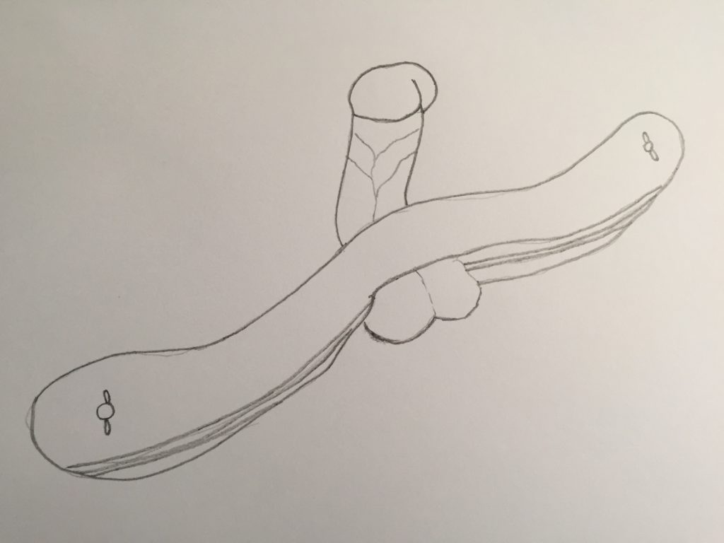 Hodenklemme Anwendung